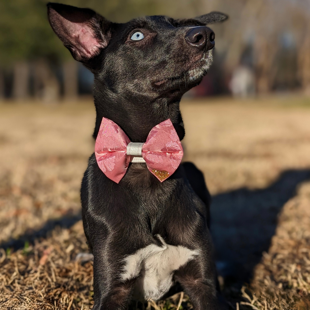 Pink Floral Mulberry Silk Bow Tie