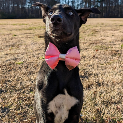 Pink Floral Mulberry Silk Bow Tie