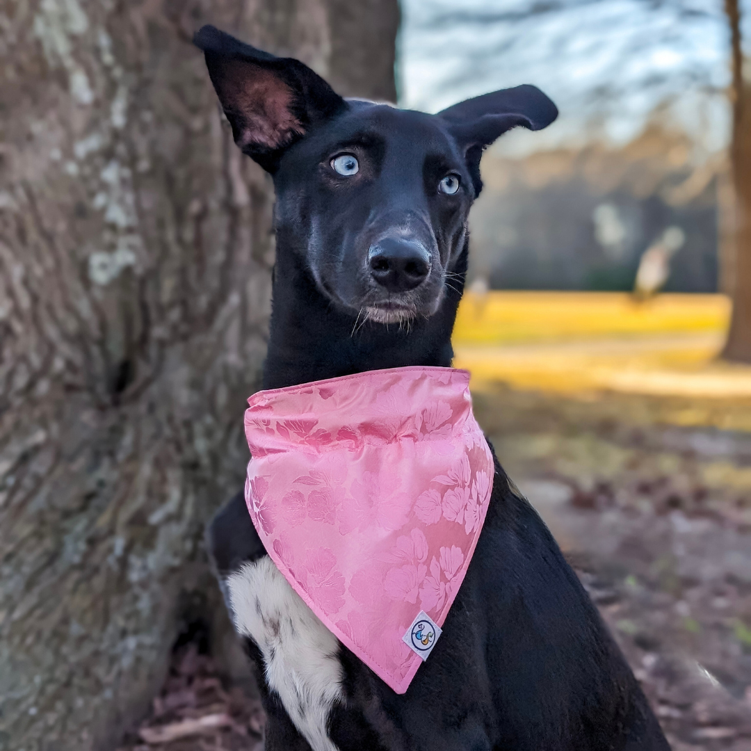 Pink Floral Mulberry Silk Bandana