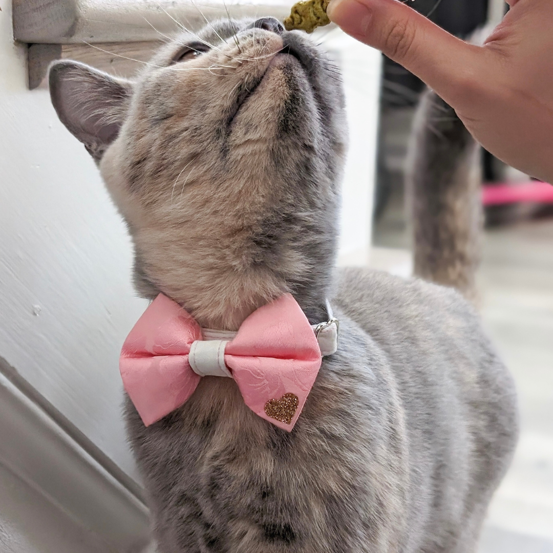 Pink Floral Mulberry Silk Bow Tie