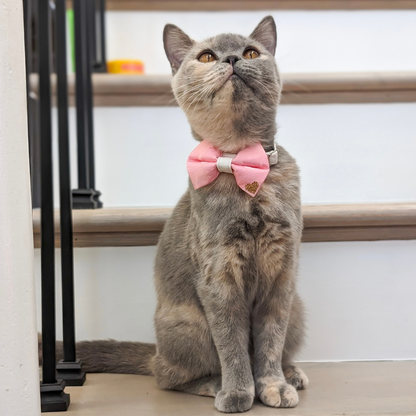 Pink Floral Mulberry Silk Bow Tie