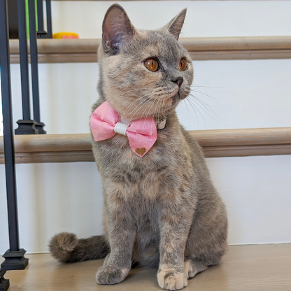 Pink Floral Mulberry Silk Bow Tie