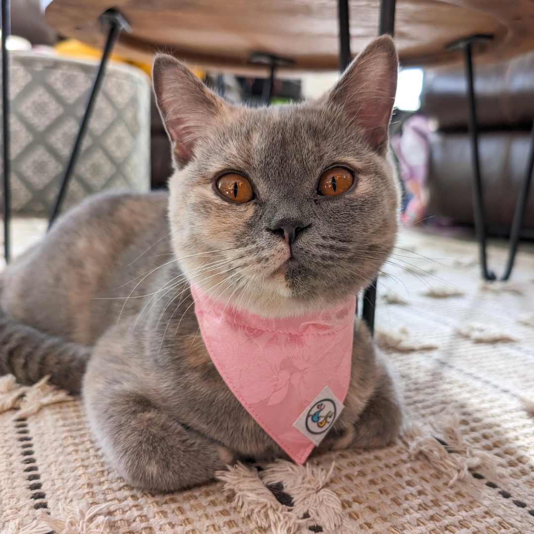 Pink Floral Mulberry Silk Bandana