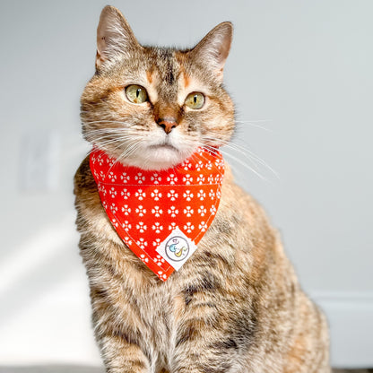 Bright Orange with Whimsical White Floral Bandana