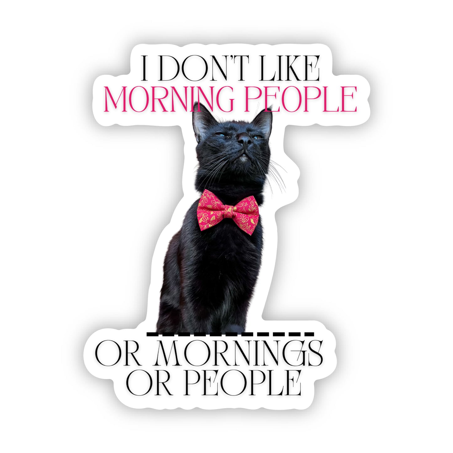 I Don't Like Morning People Or Mornings Or People