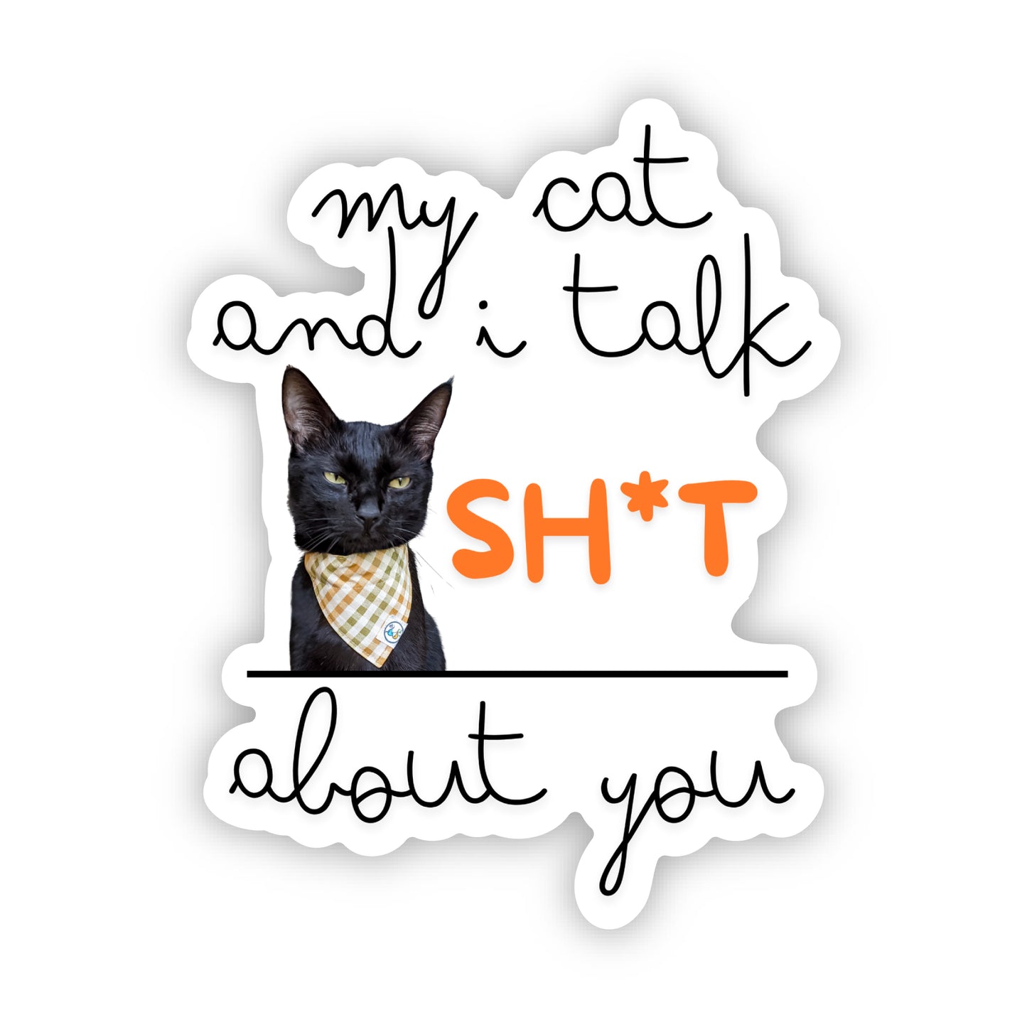 My Cat and I Talk Sh*t About You