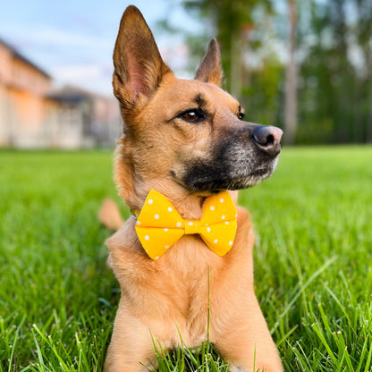 Vibrant Yellow Polka Dot Bow Tie