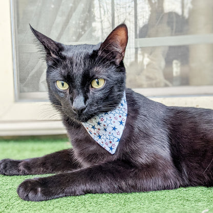 Blue and Red Stars Bandana For Dogs and Cats - Whiskerful 4