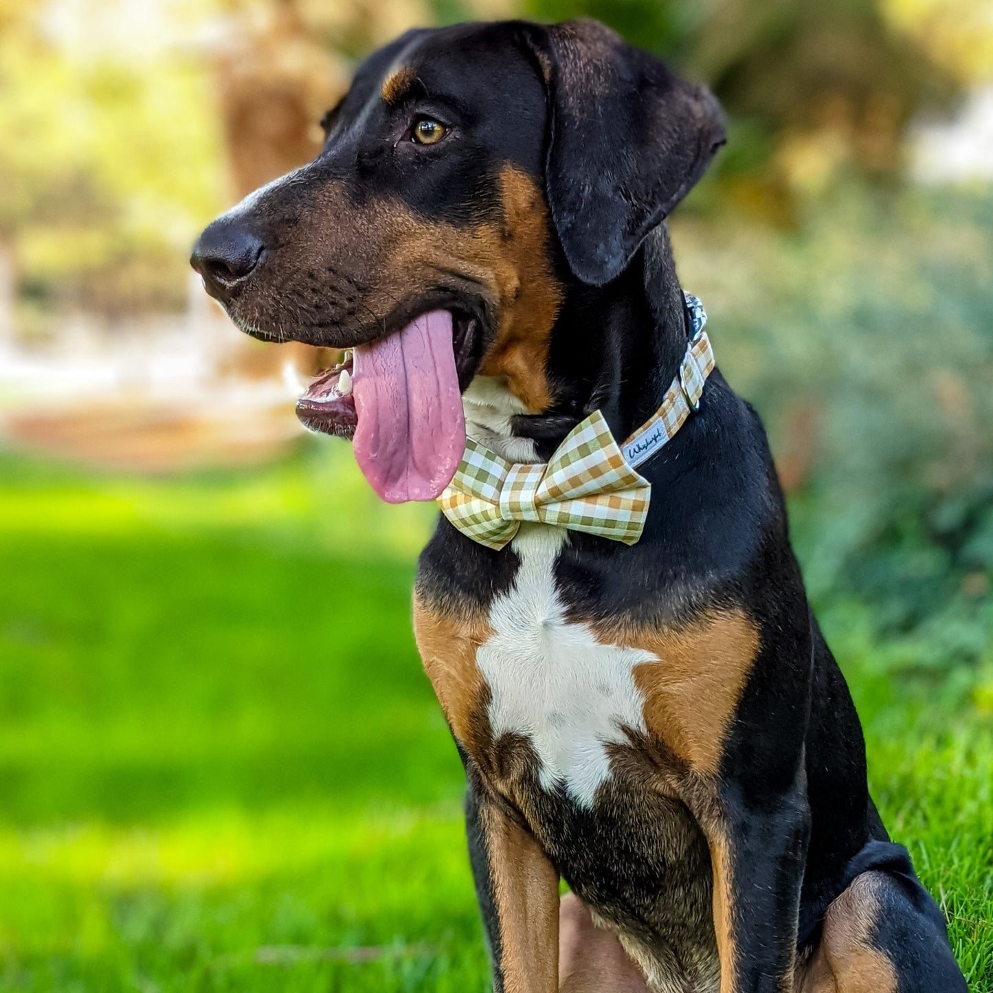 Orange Green Plaid_Bow Tie 18_Highre