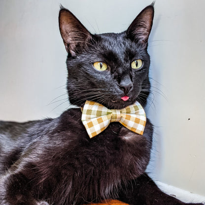 Orange Green Plaid Bow Tie