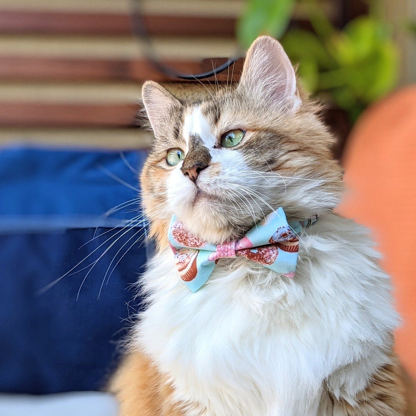 Organic Egyptian Cotton Blue & Pink Donuts and Cupcakes Collar and Bow Tie for Cats and Dogs - Whiskerful 8