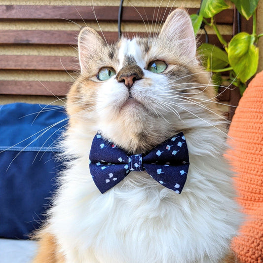 Navy Dog and Cat Bow Tie - Whiskerful 3