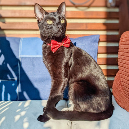 Red and Golden Yellow Floral Bow Tie