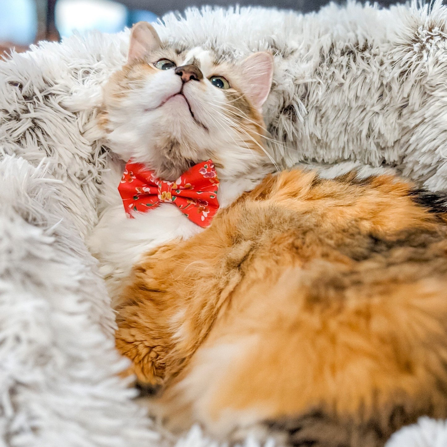 Red and Golden Yellow Floral Bow Tie