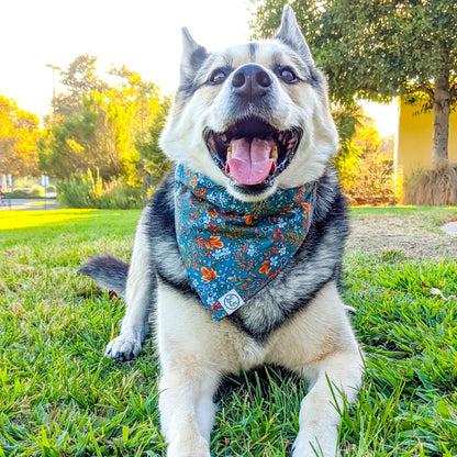 Teal Gold Paisley_Bandana 1_lowres-Whiskerful