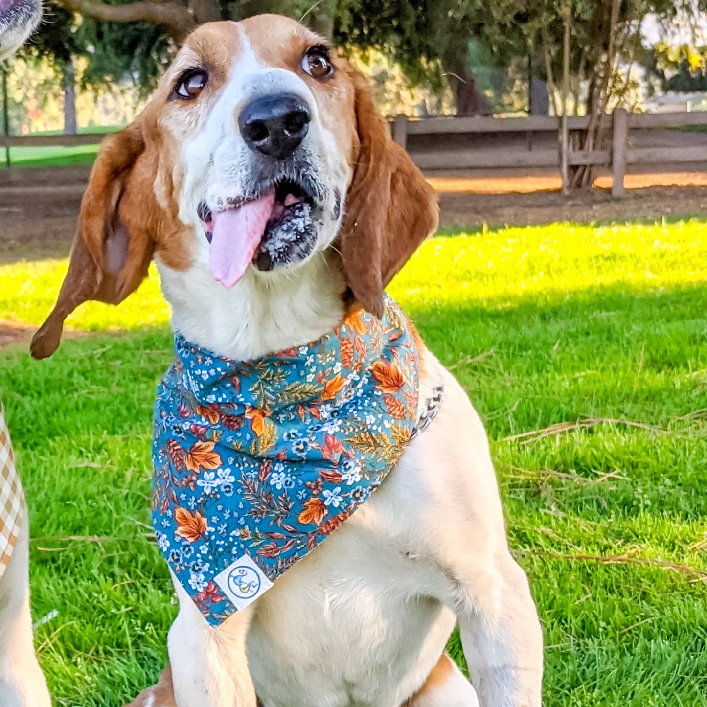 Teal Gold Paisley Bandana