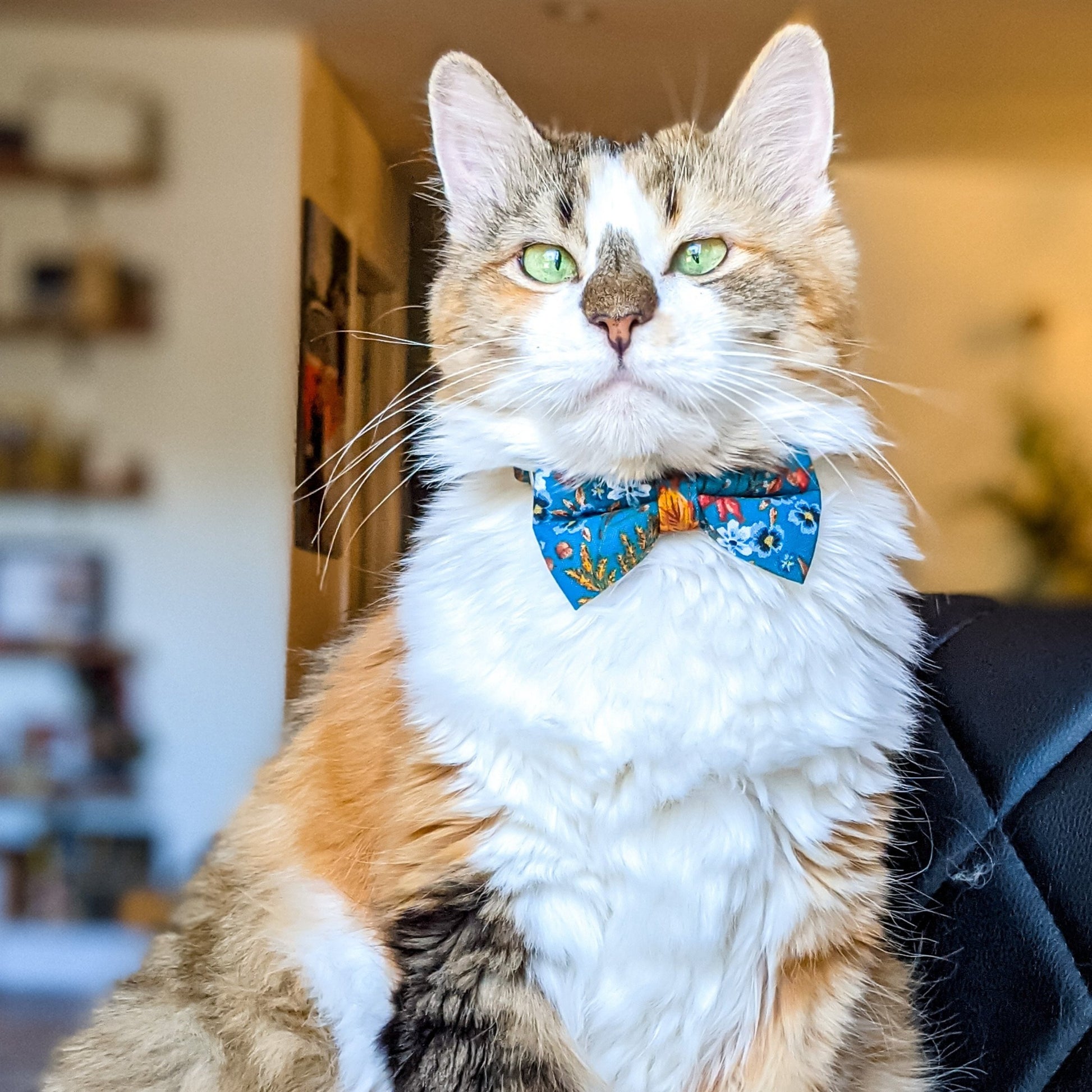 Teal Gold Paisley_BowTie1_lowres-Whiskerful.JPG