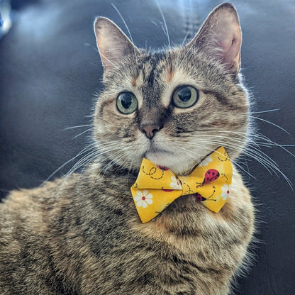 Yellow Lady Bug & Daisy Flower Collar and Bow Tie - Whiskerful 5