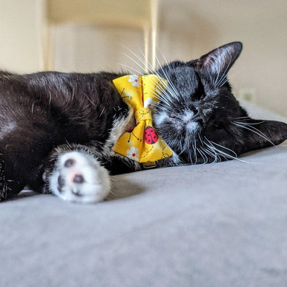 Yellow Lady Bug & Daisy Flower Collar and Bow Tie - Whiskerful 6